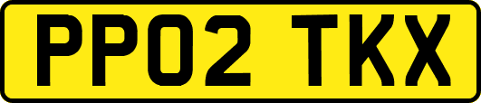 PP02TKX