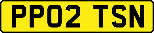 PP02TSN