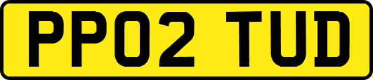 PP02TUD