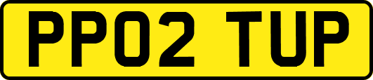 PP02TUP
