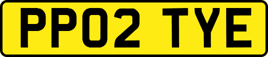 PP02TYE