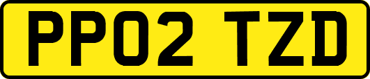 PP02TZD