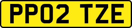 PP02TZE