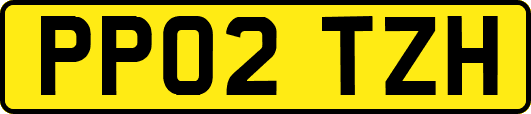 PP02TZH