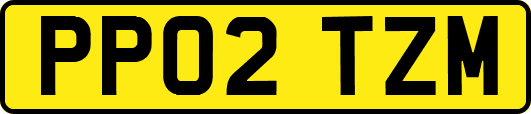 PP02TZM