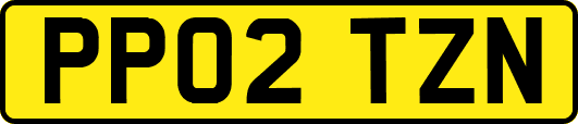 PP02TZN