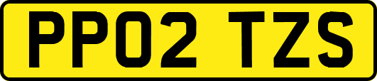 PP02TZS