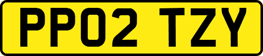 PP02TZY