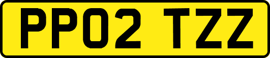PP02TZZ