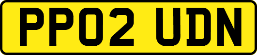 PP02UDN