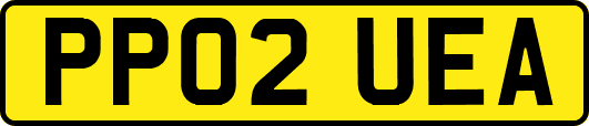 PP02UEA