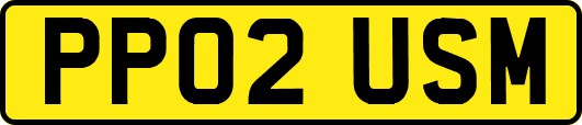 PP02USM