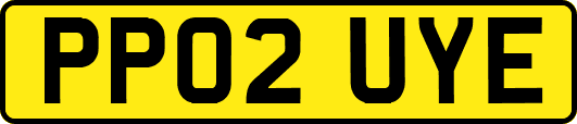 PP02UYE