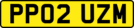 PP02UZM