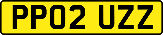 PP02UZZ