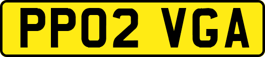 PP02VGA