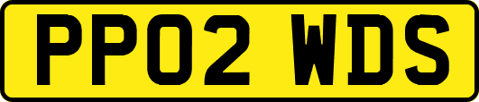 PP02WDS