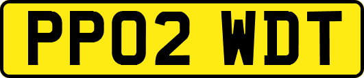PP02WDT