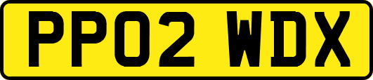 PP02WDX
