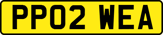 PP02WEA