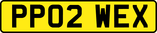 PP02WEX
