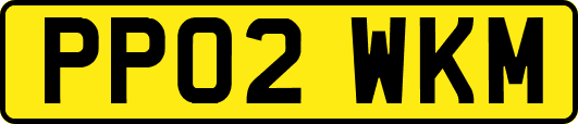 PP02WKM