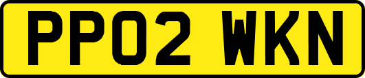 PP02WKN