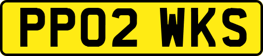 PP02WKS