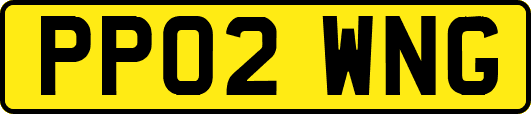 PP02WNG