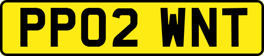 PP02WNT