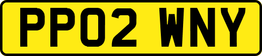 PP02WNY