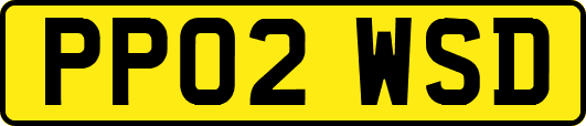 PP02WSD
