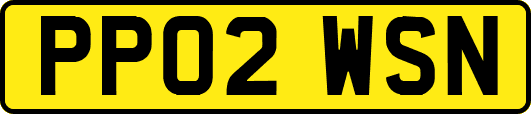PP02WSN