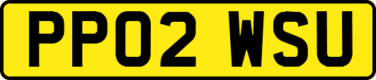 PP02WSU