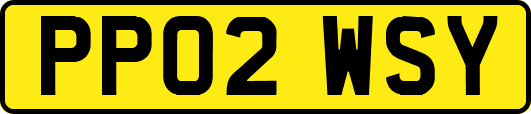 PP02WSY