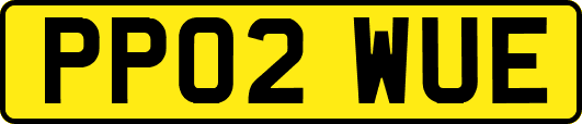 PP02WUE