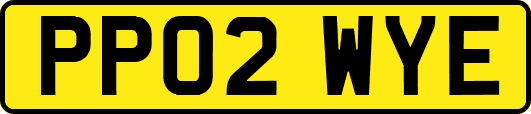 PP02WYE