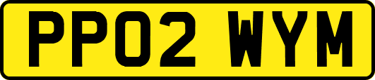 PP02WYM