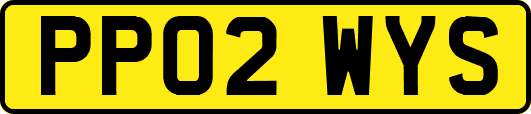 PP02WYS