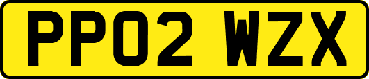 PP02WZX