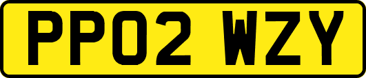 PP02WZY