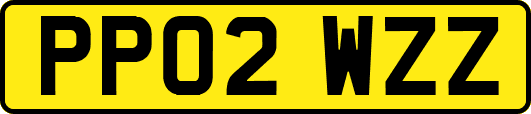 PP02WZZ