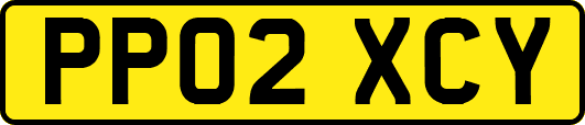 PP02XCY