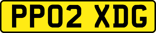 PP02XDG