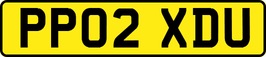 PP02XDU