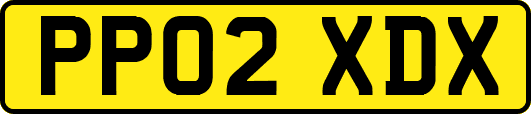 PP02XDX