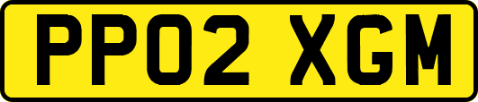 PP02XGM