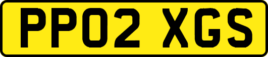 PP02XGS