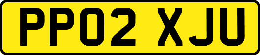 PP02XJU