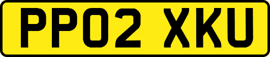 PP02XKU